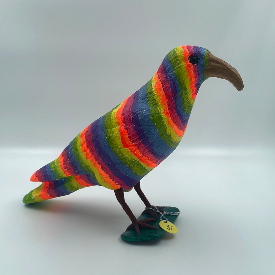 Regenboogkraai